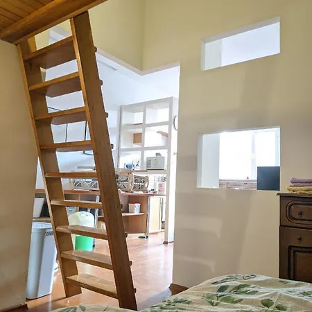 Alloggio in famiglia Spacious Shared Studio-apartment In